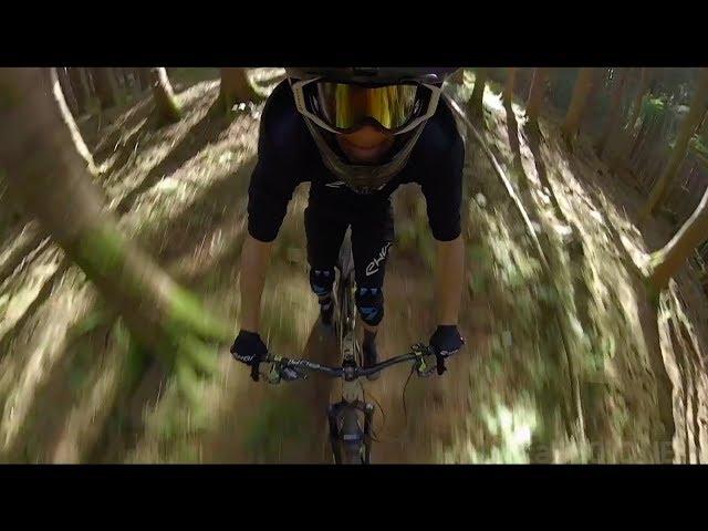 Insta360 ONE X - MTB Through the Woods