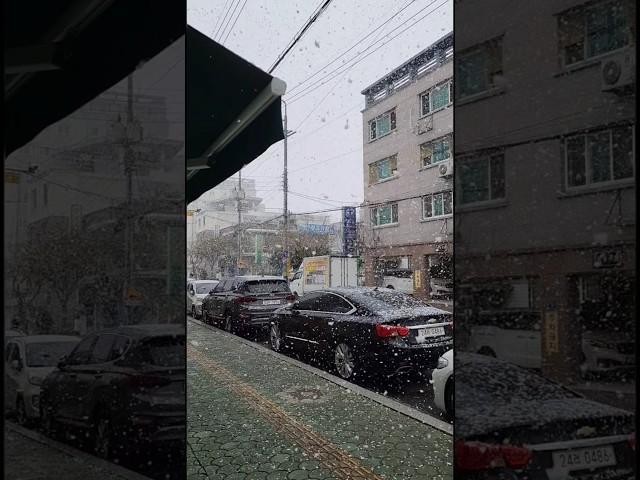 하얀 겨울, 눈 내리는 순간을 담다