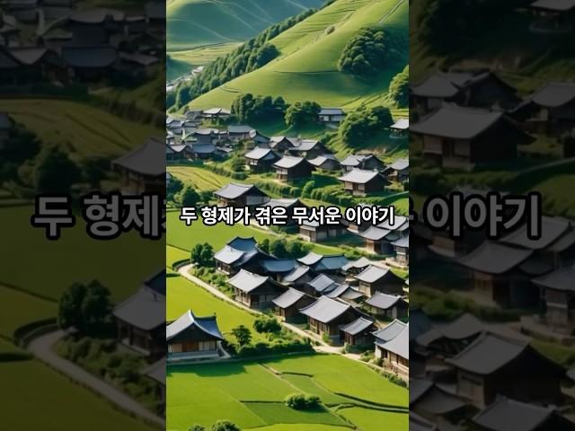 어느 시골 두 형제의 실화이야기 : TV 속 얼굴 2편