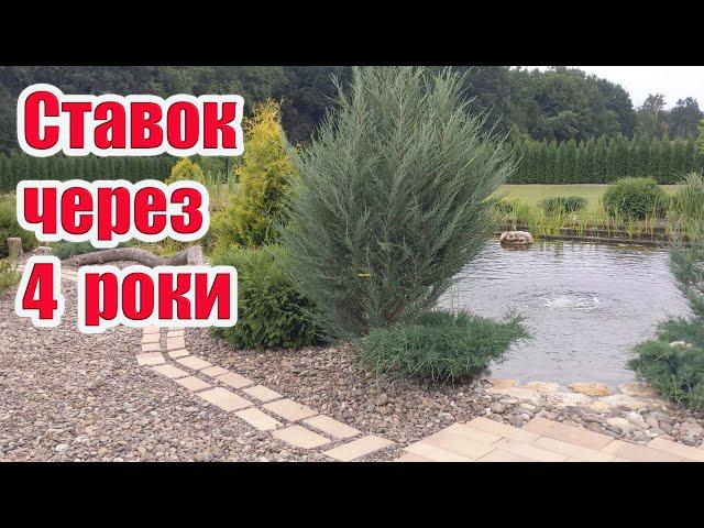 Ставок через 4 роки