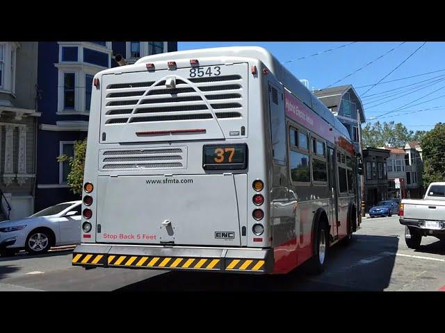 SF Muni 2022 ENC E-Z Rider II BRT HEV 30' #8543 on Route 37 Corbett