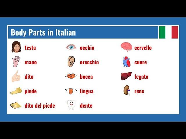 Body Parts in Italian