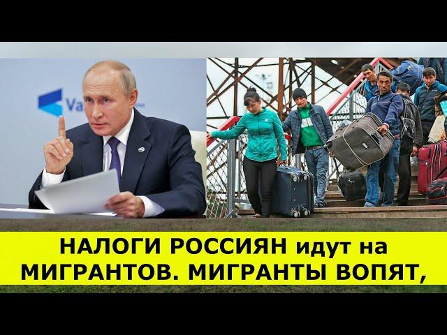 НАЛОГИ РОССИЯН идут на МИГРАНТОВ  МИГРАНТЫ ВОПЯТ