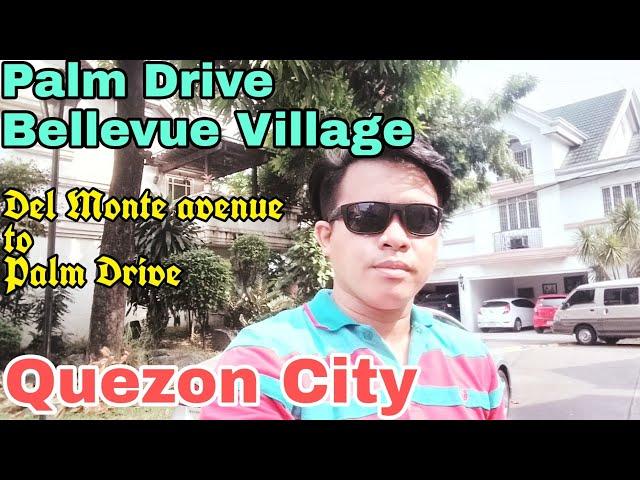 Palm Drive Bellevue Village Quezon City