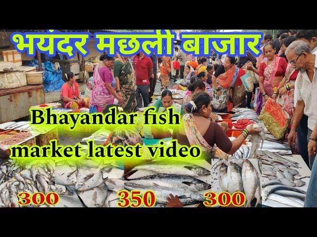 भयंदर मछली बाजार | Bhayandar fish market latest video | bhayandar fish market