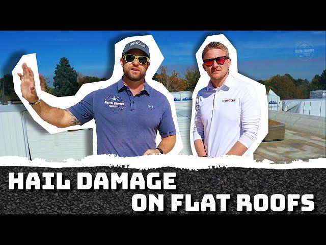 Roofing Inspection | Hail Damage On Flat Roof