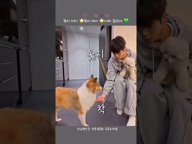 아빠 닮아서 똑똑한 테디&베어