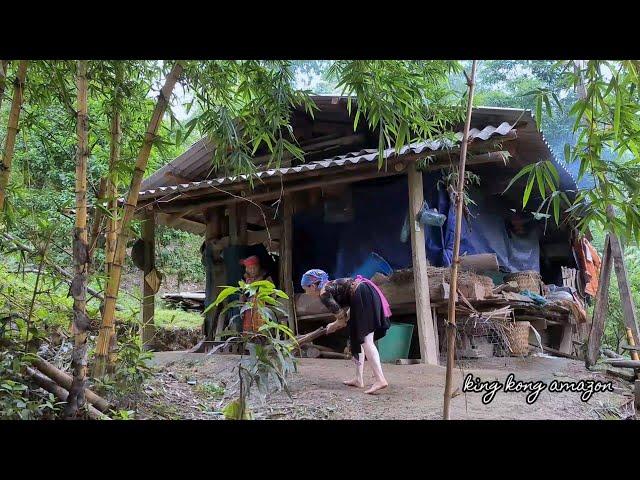 Vàng Hoa miss you zon with the wild boar, Survival instinct, Wilderness Alone, Ep 223