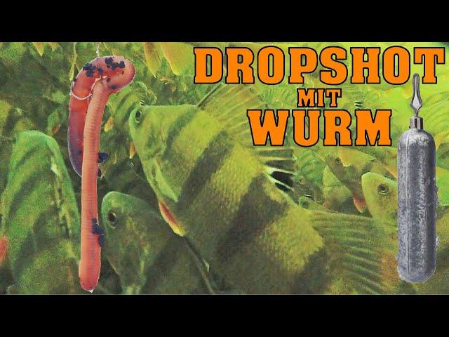 Dropshot mit Wurm - Angeln vom Feinsten