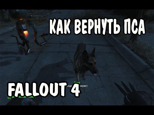 Как вернуть собаку? Fallout 4