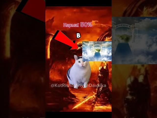 Демон Подрался С Котом! #мемныекоты #кот #коты #мем #мемы #рекомендации #рек