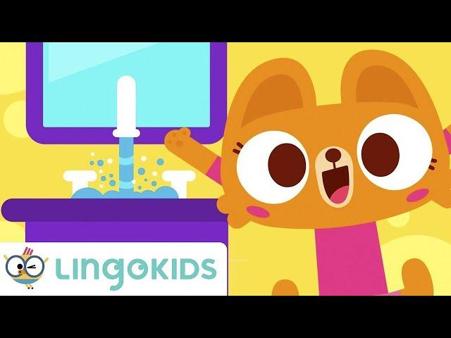  WASHING HANDS   Songs for Kids  Good Hygiene Habits Lingokids