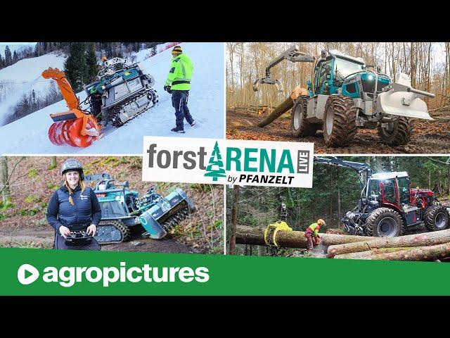 forstARENA 2025 | Forstraupe Moritz im alpinen Tourismus | Pfanzelt Pm Trac bei der Waldarbeit