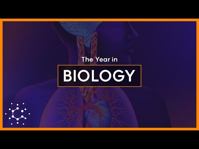 2024's Biggest Breakthroughs in Biology and Neuroscience