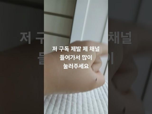 구독을하면..소원이 이루어진데!