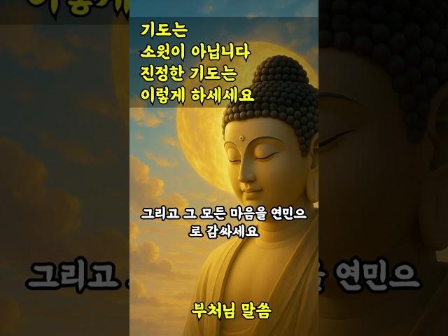 기도는 소원이 아닙니다 진정한 기도 이렇게 하세요  #부처님말씀 #명언 #불교오디오북 #자기수행 #마음공부 #인생조언
