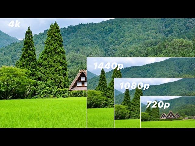 720p vs 1080p vs 1440p vs 4K vs 8K – Which Should You Choose?