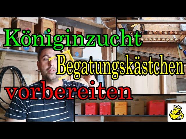 Bienenkönigin Zucht vorbereiten der Begattungskästchen