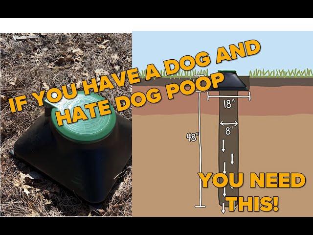 Dog poop septic system is a must have for any pet owner.