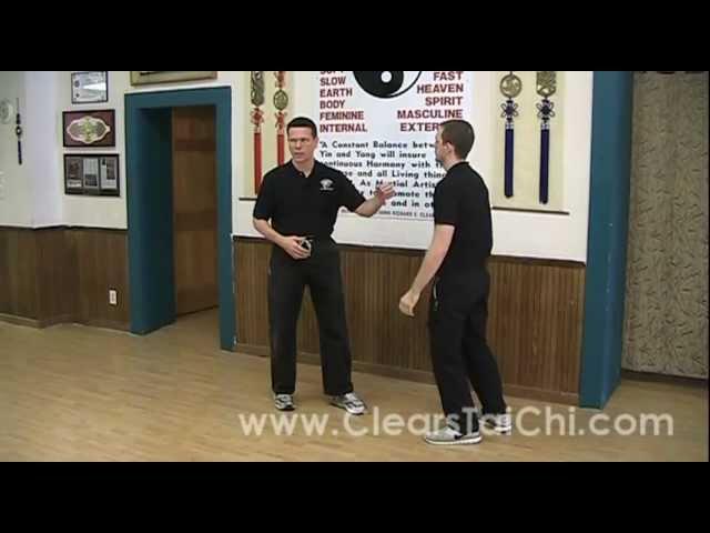 Combat Tai Chi Chuan: Parry & Punch Application