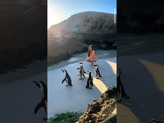 Places on Earth that don't feel Real  Part-46  #travel #shorts #nature #adventure #explore #4k