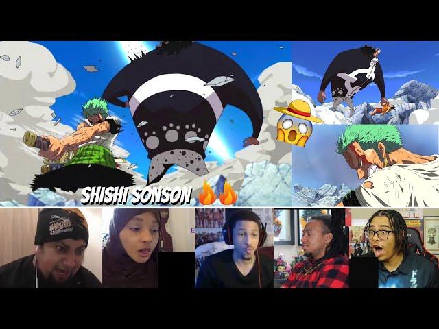 Zoro vs Kuma [Shishi Sonson] || Reaction Mashup