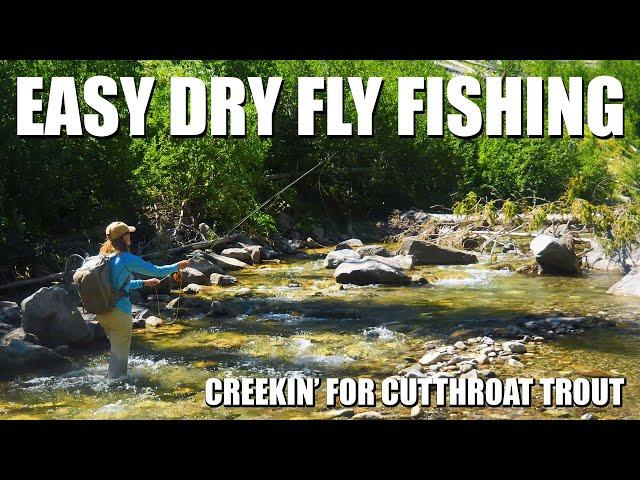 Easy Dry Fly Fishing: Small Creek Cutthroat Trout. Reading Water & High Catch Rate