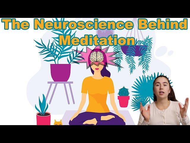 The Effect of Meditation on the Brain