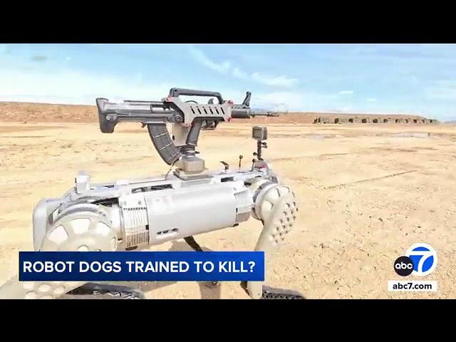 China's military shows off robot dog with automatic rifle mounted on its back