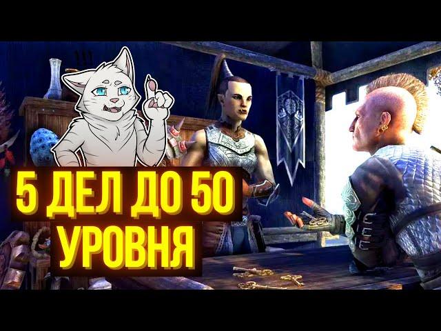 СДЕЛАЙ ЭТО ДО 50-ГО УРОВНЯ | ТЕСО