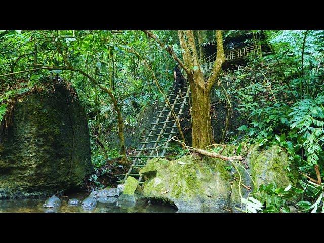 FULL VIDEO: 1000 Hours Solo Bushcraft - Survival alone. Build shelter and Survival in the forest.