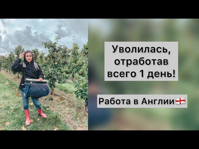 Уволилась, отработав всего 1 день! | Mansfield farm | РАБОТА В АНГЛИИ