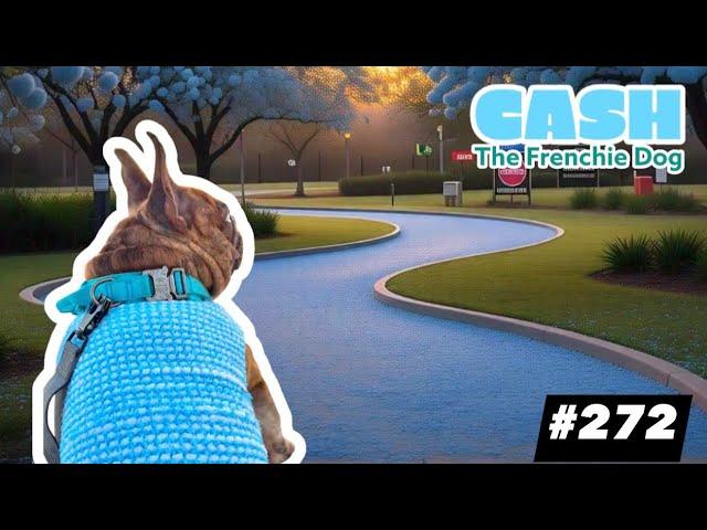 French Bulldog daily walking CASH ARCHIVALDO blue cotton sweater #272