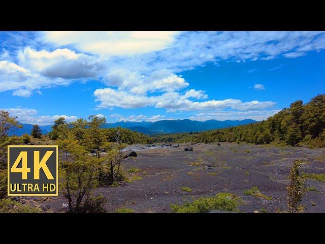 Clear Mountain Springs Nature Walk 4K (With Ambient Nature Sounds And Music)