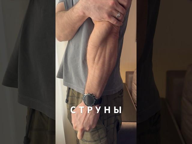 ПРЕДПЛЕЧЬЕ ПАПАЯ🫡 #wrpf #арм #бицепс #махалов #руки #вызов #бб