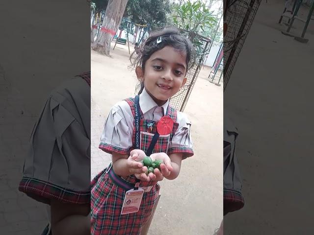 #aaj meri gudiya Rani#school se#Chhota mango #live hai