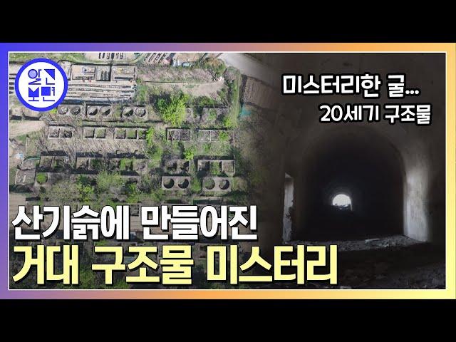 경산에 자리한 의문의 콘크리트 군락, 그 정체는?