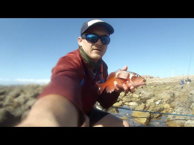 Fishing Knysna- Scratching of the rocks at Buffels Bay