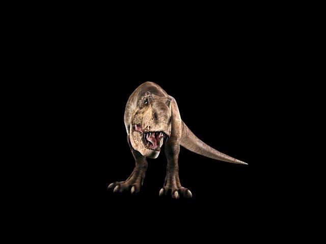 Animation 3D de l'hologramme T-Rex x BAB2 Pays Basque