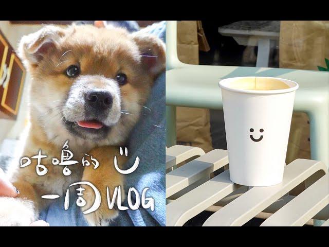 咕嚕的一周vlog｜平平無奇的一周｜健身蹬車｜囤麵包口糧｜聚餐｜家裡改造