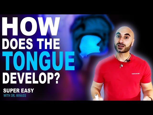 Embryology of the Tongue (Easy to Understand)