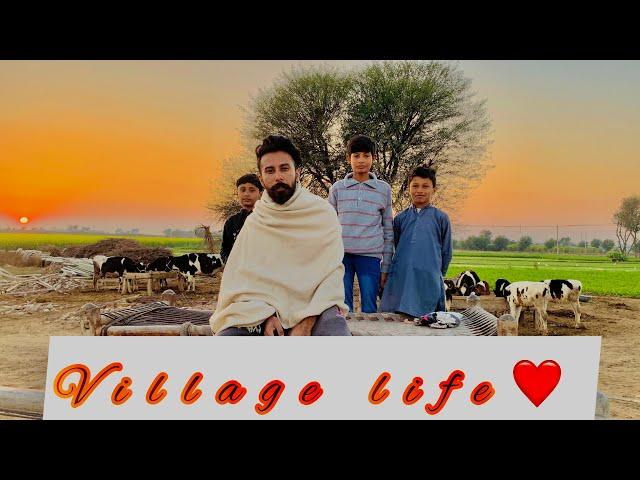 Paani di vaari c | Village life | Deryaala | Punjabi Vlogs ️