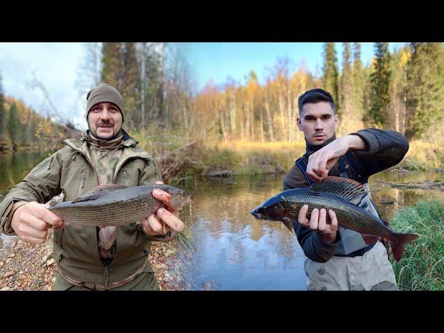 РЫБАЛКА НА ХАРИУСА. КРУПНЫЕ ЭКЗЕМПЛЯРЫ. ДЕЛАЕМ КОТЛЕТЫ ИЗ ХАРИУСА