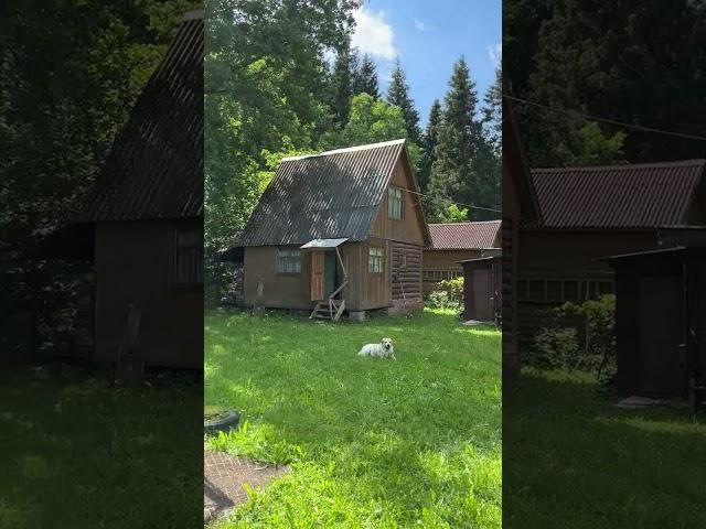 Продаётся 2-хэт.жилой дом с баней на уч.8.3 сот. в СНТ Каскад, Александровский р-н, Владимирская обл