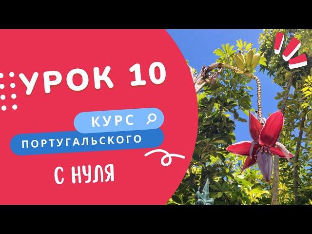 Курс португальского. Урок 10: poder, querer, costumar, este