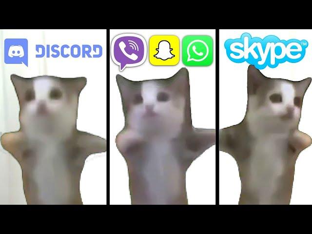 Happy Happy Cat but Social Media ringtones