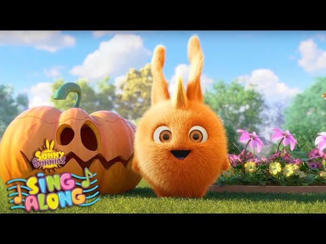 WHERE ARE YOU? | SUNNY BUNNIES SING ALONG | Halloween Cartoons for Kids | Nursery Rhymes