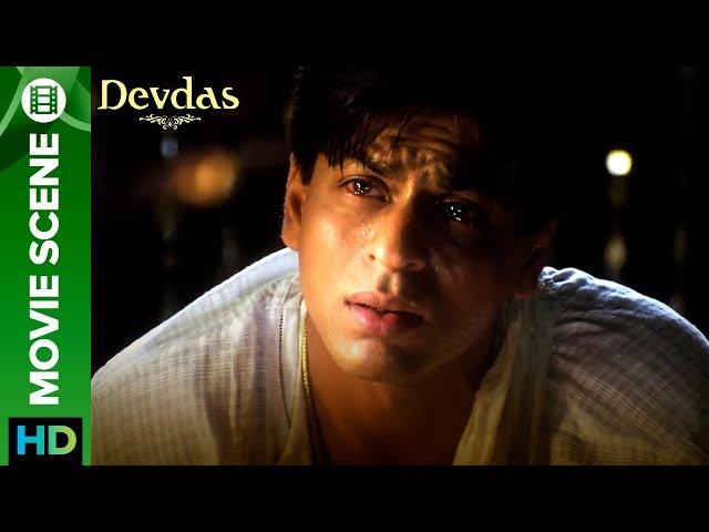 Kaun Kambakkht Bardaasht Karne Ko Peeta Hai | Devdas And Chandramukhi