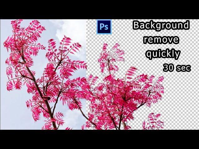 How to remove Random Tree background quickly 30 second in photoshop cs6 |Advance background remove