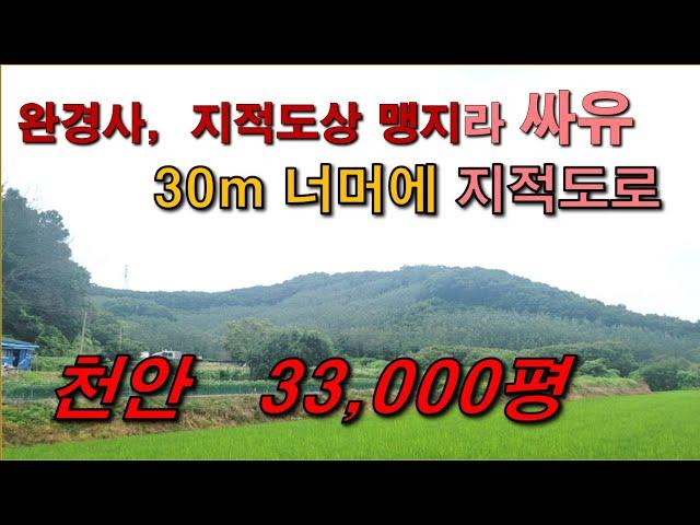 충남  천안임야  33,000평,  맹지라 싼임야, 어렵지 않게 도로 가능,  전체가 완만하고 전기/도로가 가까움,